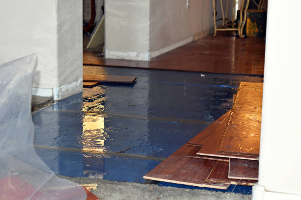 Professional Basement Water Removal technician working in Aurora, ME